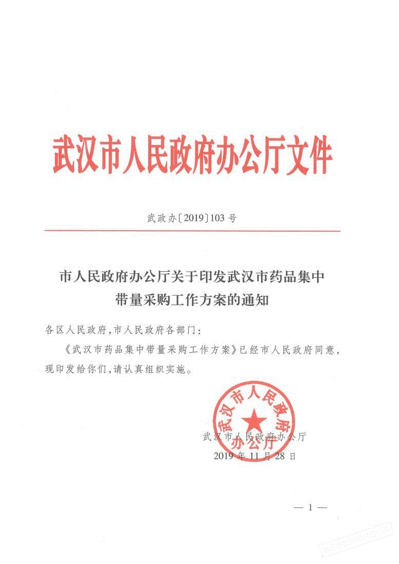 2019年湖北省武汉市人民政府办公厅关于印发武汉市药品集中带量采购